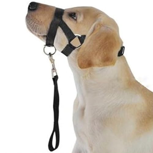 Hundehalsband, Atmungsaktives Hundemaulseil, Polyestergewebe, Verstellbare Größe, Bequeme Verwendung für Spaziergänge und Training mit Haustieren (L) von Fockety
