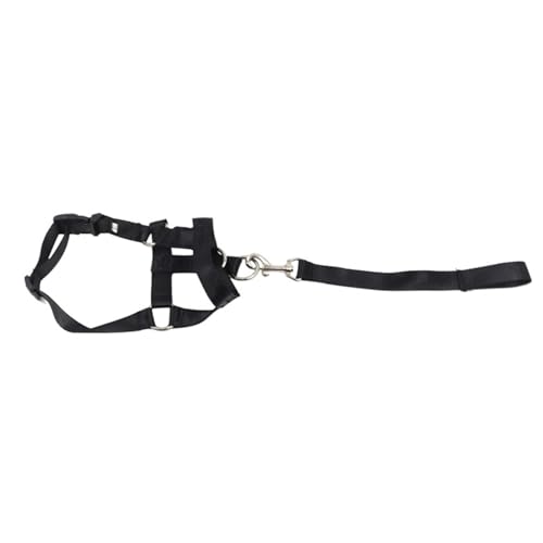 Fockety Hundehalsband, Atmungsaktives Hundemaulseil, Polyestergewebe, Verstellbare Größe, Bequeme Verwendung für Spaziergänge und Training mit Haustieren (M) von Fockety