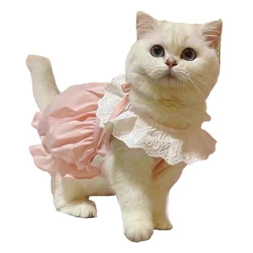 Katzenkleid, Modisch, Vielseitig, Einfach Anzuziehen, Süßes Haustierkleid, Bequemer, Leichter Stoff für den Frühlingssommer für Katzen (XL) von Fockety
