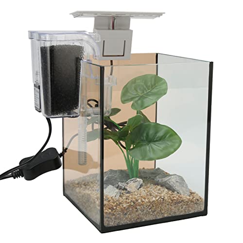 Kleines Aquarium, Kostenloser Wasserwechsel, LED-Clip-Licht, Glas-Aquarium-Set, Schön für die Dekoration (EU-Stecker 220 V) von Fockety