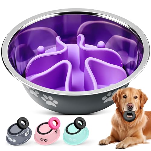 2-in-2 Edelstahl Slow Feeder Hundenäpfe Silikon Hund Slow Feeder Starke Saugkraft Anti-Rutsch-Unterseite Hund Futternapf mit Hundekauspielzeug, Grau, Medium 2-in-2 Edelstahl Slow Feeder Hundenäpfe Silikon Hund Slow Feeder Starke Saugkraft Anti-Rutsch-Unterseite Hund Futternapf mit Hundekauspielzeug, Grau, Medium von Focxoio