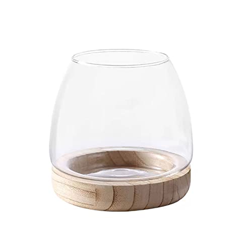 Fofetbfo Glas-Hydrokultur-Pflanzenterrarium Einzigartige Fischschale Aquarium mit Holzsockel Klarglas Aquarium Fischschale Vase für Pflanze und Betta-Fisch Fofetbfo Glas-Hydrokultur-Pflanzenterrarium Einzigartige Fischschale Aquarium mit Holzsockel Klarglas Aquarium Fischschale Vase für Pflanze und Betta-Fisch von Fofetbfo