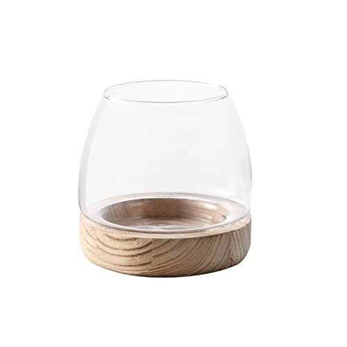 Fofetbfo Glas-Hydrokultur-Pflanzenterrarium Einzigartige Fischschale Aquarium mit Holzsockel Klarglas Aquarium Fischschale Vase für Pflanze und Betta-Fisch Fofetbfo Glas-Hydrokultur-Pflanzenterrarium Einzigartige Fischschale Aquarium mit Holzsockel Klarglas Aquarium Fischschale Vase für Pflanze und Betta-Fisch von Fofetbfo
