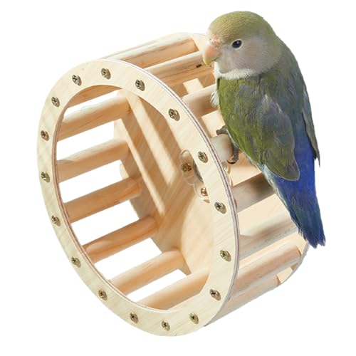 Fogukier Spielzeug Für Papageien | Vogels Laufrad Spielzeug - Holz Sittich Käfigzubehör Intelligenzförderndes Trainingszubehör von Fogukier