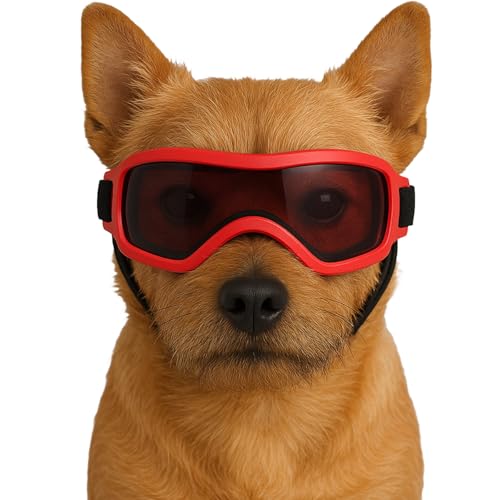 Fohuanky Hundebrille für kleine und mittelgroße Rassen, verstellbare Haustier-Sonnenbrille mit UV-Schutz, Hundebrille für Reisen, Wandern, Outdoor-Spaß (Rot, S) von Fohuanky