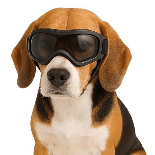 Fohuanky Hundebrille für kleine und mittelgroße Rassen, verstellbare Haustier-Sonnenbrille mit UV-Schutz, Hundebrille für Reisen, Wandern, Outdoor-Spaß (Schwarz, M) von Fohuanky