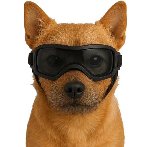 Fohuanky Hundebrille für kleine und mittelgroße Rassen, verstellbare Haustier-Sonnenbrille mit UV-Schutz, Hundebrille für Reisen, Wandern, Outdoor-Spaß (Schwarz, S) von Fohuanky