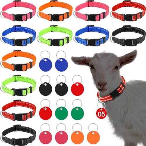Foilswirl 12 Stück Ziegenhalsbänder mit Nummernschild, verstellbares Nylon-Halsband für Nutztiere, mit Nr. 01-12, ID-Nummernschilder, Schafhalsbänder für kleine Nutztiere, Bauernhof, Ziege, Schaf, Kuh von Foilswirl