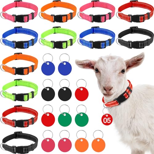 Foilswirl 12 Stück Ziegenhalsbänder mit Nummernschild, verstellbares Nylon-Halsband für Nutztiere, mit Nr. 01-12, ID-Nummernschilder, Schafhalsbänder für kleine Nutztiere, Bauernhof, Ziege, Schaf, Kuh Foilswirl 12 Stück Ziegenhalsbänder mit Nummernschild, verstellbares Nylon-Halsband für Nutztiere, mit Nr. 01-12, ID-Nummernschilder, Schafhalsbänder für kleine Nutztiere, Bauernhof, Ziege, Schaf, Kuh von Foilswirl