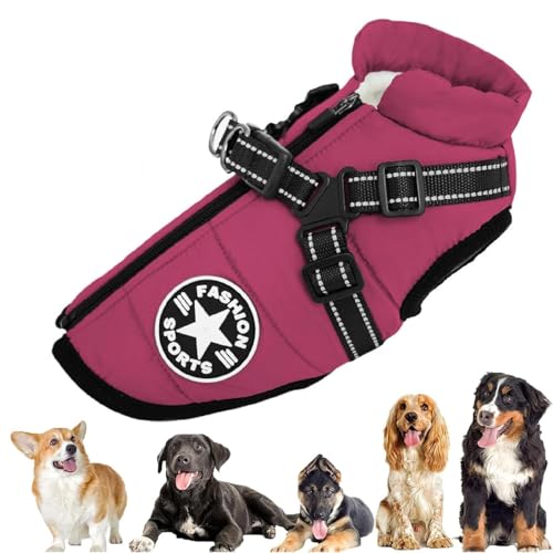 Fokayo Pawbibi Sport – wasserdichte Winterjacke mit integriertem Geschirr, Pawbibi Hundejacke mit Geschirr, Hunde-Wintermantel, wasserdicht, Winddicht, reflektierende warme Hundeweste (3XL,Lila) von Fokayo