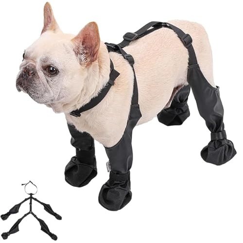 Strapsstiefel für Hunde, Hundepfotenstiefel-Leggings, wasserdichte Hundestiefel, rutschfeste Hundeschuhe, Welpenstiefel und Pfotenschutz für kleine und mittelgroße Hunde (L) von Fokayo