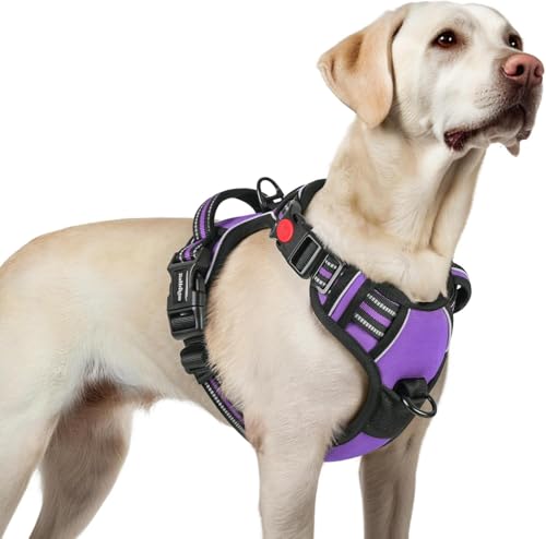 Fokroin Geschirr für kleine Hunde，Verstellbares reflektierendes Hundegeschirr, Anti-Zug, Anti-Ersticken, weich gepolstertes reflektierendes Brustgeschirr, lila L von Fokroin