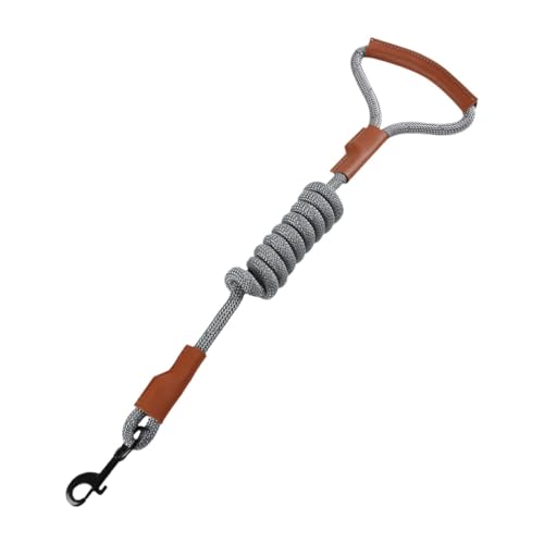 Folpus 1,5 m Nylon-Haustierleine, tragbar, bequemer Griff, Laufleine zum Laufen, für kleine, mittelgroße und große Hunde im Garten, Grau von Folpus