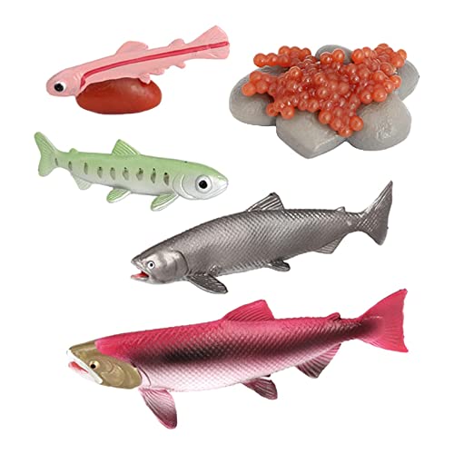 Folpus 1 Set Animal Life Cycle Stages Klassenzimmer Unterrichtszubehör Lernspielzeug für Teacher, Lachs Folpus 1 Set Animal Life Cycle Stages Klassenzimmer Unterrichtszubehör Lernspielzeug für Teacher, Lachs von Folpus