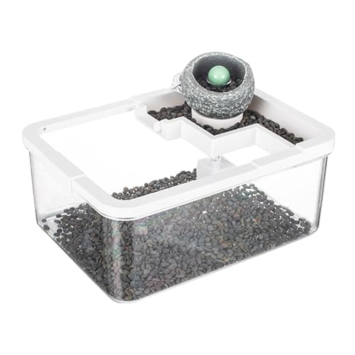 Folpus Aquarium Aquarium Zylinder Fischschale für Büros Wohnzimmer Kommode, Weiß von Folpus