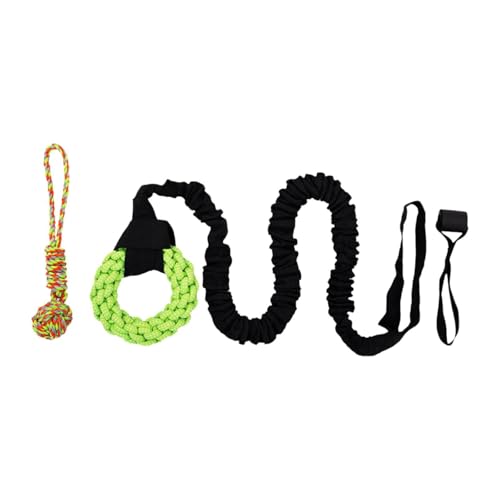 Folpus Bungee-Hundespielzeug, Tether-Zerrspielzeug für kleine bis große Hunde, interaktives Hängespielzeug für draußen, mit Kauseil, Grüner Ring Folpus Bungee-Hundespielzeug, Tether-Zerrspielzeug für kleine bis große Hunde, interaktives Hängespielzeug für draußen, mit Kauseil, Grüner Ring von Folpus