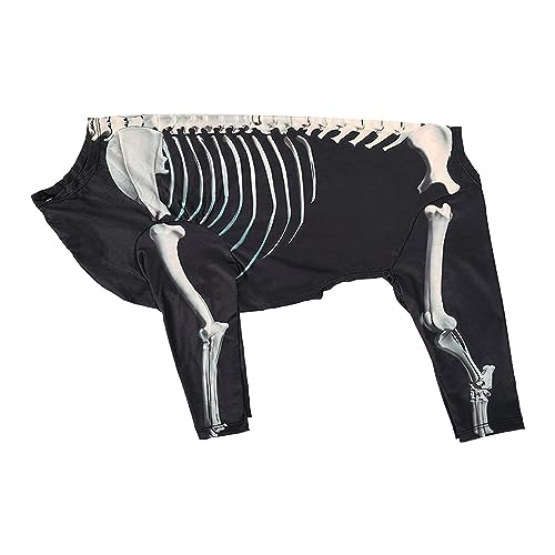 Folpus Halloween-Skelett-Hundekostüm, Halloween-Haustierkostüm, Kleidung, Overall, Dekoration, Foto-Requisiten, Bekleidung, Cosplay-Outfit für Festival, 2XL von Folpus