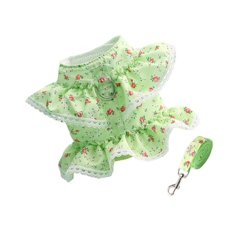 Folpus Hundegeschirr- und Leinenset mit Blumenmuster, Frühling/Sommer, Welpenkleidung für Mädchen, Hundeweste, Geschirr für Mädchen, Hunde, GrÜn Folpus Hundegeschirr- und Leinenset mit Blumenmuster, Frühling/Sommer, Welpenkleidung für Mädchen, Hundeweste, Geschirr für Mädchen, Hunde, GrÜn von Folpus