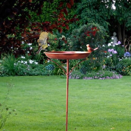 Folpus Metall-Vogeltränke, Geschenke für Vogelliebhaber, dekoratives Vogelbad, mit 5-Zinken-Basis, Vogelfutterspender für die Terrasse im Innenhof Folpus Metall-Vogeltränke, Geschenke für Vogelliebhaber, dekoratives Vogelbad, mit 5-Zinken-Basis, Vogelfutterspender für die Terrasse im Innenhof von Folpus