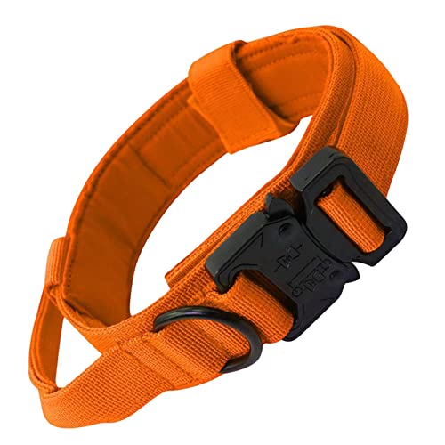 Folpus Robustes Hundehalsband mit ergonomischem Griff, Nylon-Trainingszubehör für mittelgroße Hunde von Folpus
