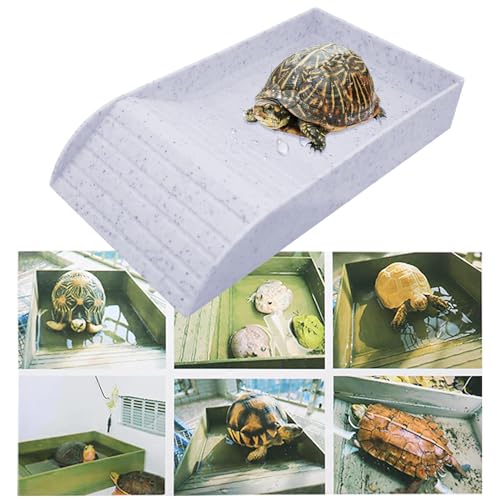 Folpus Schildkröten-Badeschildkröten-Futternapf mit geneigten Dekorationen, Reptilien-Wassernapf, Reptilien-Futternapf für Gecko-Hamster-Schildkröten, Weiß und L von Folpus