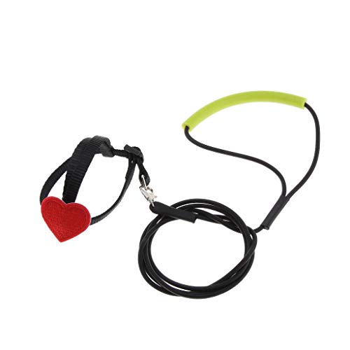 Folpus Vogel Papageiengeschirr Leine Haustier Seil für Vögel Outdoor Trainingsleine, XS Folpus Vogel Papageiengeschirr Leine Haustier Seil für Vögel Outdoor Trainingsleine, XS von Folpus