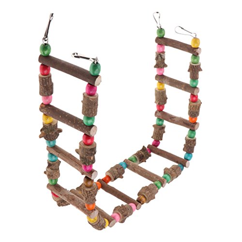 Folpus Vogelklettergerüst aus Naturholz, 90 cm - Ideales Spielzeug für Vögel Folpus Vogelklettergerüst aus Naturholz, 90 cm - Ideales Spielzeug für Vögel von Folpus