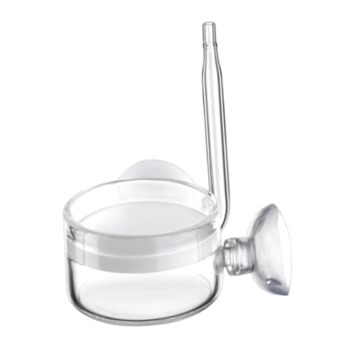 Fonowx Bubble Diffusor Aquarium CO2 Diffusor Flachboden O2 Pumpe leicht zu reinigen Aquariumdiffusor für Pflanzenwachstumszubehör, Durchmesser 28 Mm Fonowx Bubble Diffusor Aquarium CO2 Diffusor Flachboden O2 Pumpe leicht zu reinigen Aquariumdiffusor für Pflanzenwachstumszubehör, Durchmesser 28 Mm von Fonowx