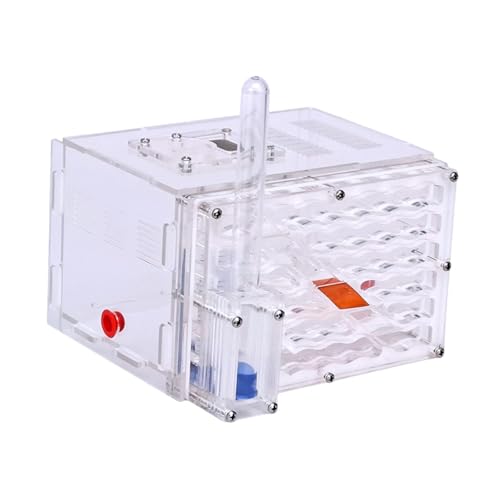 Fonowx Gehäuse Nest Werkstatt Spielzeug Display Box für Geschenk Geburtstag Kindertag Fonowx Gehäuse Nest Werkstatt Spielzeug Display Box für Geschenk Geburtstag Kindertag von Fonowx