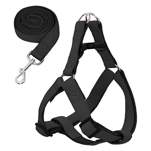 Fonowx Haustiergeschirr Und Leine für Kleine, Mittelgroße Hunde, Brustgurt, Verstellbare Schnalle, Heimtierbedarf, Atmungsaktiv, für Das Lauftraining, 1,5 cm x 120 cm Fonowx Haustiergeschirr Und Leine für Kleine, Mittelgroße Hunde, Brustgurt, Verstellbare Schnalle, Heimtierbedarf, Atmungsaktiv, für Das Lauftraining, 1,5 cm x 120 cm von Fonowx