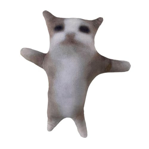 Fonowx Plüsch Katze, Plüsch Schlafzimmerdekoration, Begleitet Schlafspielzeug für Teenager, Katze 30cm von Fonowx