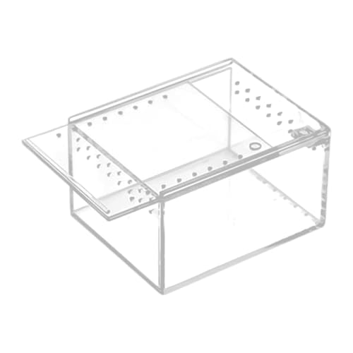 Fonowx Reptilien Terrarium, Schildkrötenbecken, Durchsichtig, Tragbar, Reptilien Zuchtbox, Acryl Reptilienkäfig für Eidechsen Und Spinnen, 10.5 cm X 8.5 cm X 6 von Fonowx