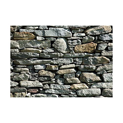 Fonowx Seite Fisch Tank Hintergrund Aquarium Fotografie Hintergrund Kinder Kinder, Steinwand, 76 x 46 cm von Fonowx