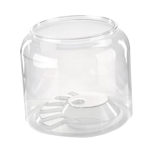 Fonowx Turtle Container Wasser Aquarium Mode vielseitiger Schreibtisch DIY Micro Landschaft Reptilien Lebensraum für Wohnung Wohnzimmer, XL Ohne Deckel von Fonowx
