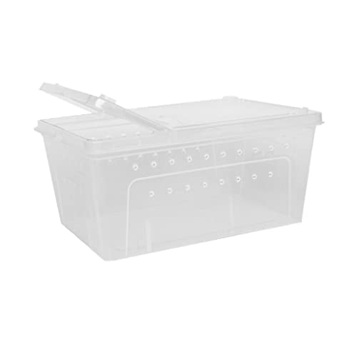 Fonowx Wasserwelt - Schlupfstation für Reptilien und Amphibien, 1x groß, 25 x 17,5 x 11 cm von Fonowx