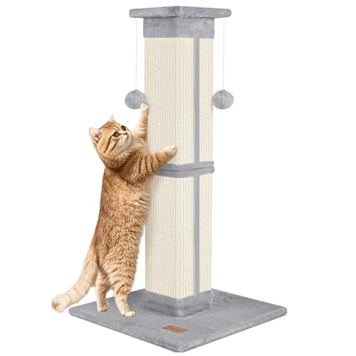 Fopetfy Kratzbaum 83,8 cm für Indoor-Katzen, hoher Katzenkratzbaum Grau, Katzenbaum für Ganzkörperdehnung, Schützen Sie Ihre Möbel Fopetfy Kratzbaum 83,8 cm für Indoor-Katzen, hoher Katzenkratzbaum Grau, Katzenbaum für Ganzkörperdehnung, Schützen Sie Ihre Möbel von Fopetfy