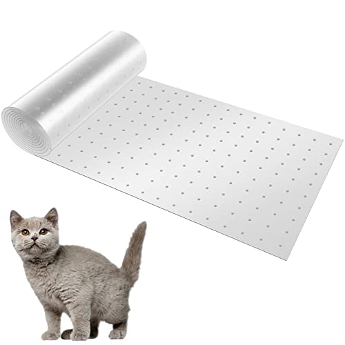 Foppla Teppichschutz, Kratzschutz für Katzen, mit Nagelboden, rutschfest, kratzfest, wiederverwendbar, schneidbar, für Tür, Teppich, Zuhause, 31 x 250 cm Foppla Teppichschutz, Kratzschutz für Katzen, mit Nagelboden, rutschfest, kratzfest, wiederverwendbar, schneidbar, für Tür, Teppich, Zuhause, 31 x 250 cm von Foppla