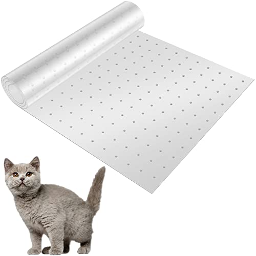 Foppla Teppichschutz, Kratzschutz für Katzen, mit Nagelboden, rutschfest, kratzfest, wiederverwendbar, schneidbar für Tür, Teppich, Zuhause, 38 x 110 cm Foppla Teppichschutz, Kratzschutz für Katzen, mit Nagelboden, rutschfest, kratzfest, wiederverwendbar, schneidbar für Tür, Teppich, Zuhause, 38 x 110 cm von Foppla