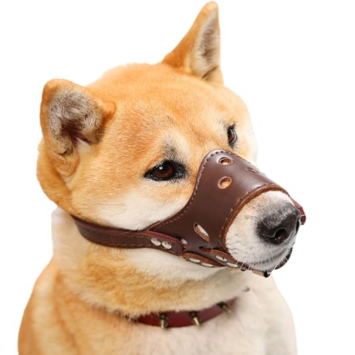 GroßEn Hund Verstellbarer Maulkorb,Verstellbarer Und Sicherer Mundschutz FüR Hunde,Maulschlaufe Hund,Hunde KöNnen Hecheln,Trinken,Atmungsaktiv,Verstellbarer Schlaufe,Verhindert BeißEn Bellen GroßEn Hund Verstellbarer Maulkorb,Verstellbarer Und Sicherer Mundschutz FüR Hunde,Maulschlaufe Hund,Hunde KöNnen Hecheln,Trinken,Atmungsaktiv,Verstellbarer Schlaufe,Verhindert BeißEn Bellen von ForceRoute