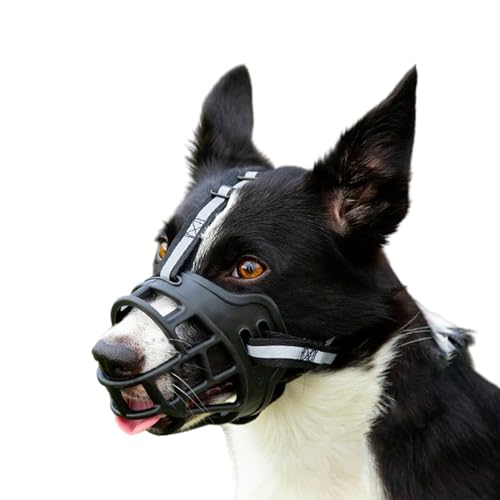 Maulkorb FüR Hunde,Atmungsaktive Gesichtsmaske FüR Hunde,Hundemaulkorb Aus Kunststoff,Verstellbarer Schlaufe,Komfortabel Und Weich,Resistent Gegen Abrieb,Verhindert BeißEn,Bellen Und Kauen Maulkorb FüR Hunde,Atmungsaktive Gesichtsmaske FüR Hunde,Hundemaulkorb Aus Kunststoff,Verstellbarer Schlaufe,Komfortabel Und Weich,Resistent Gegen Abrieb,Verhindert BeißEn,Bellen Und Kauen von ForceRoute
