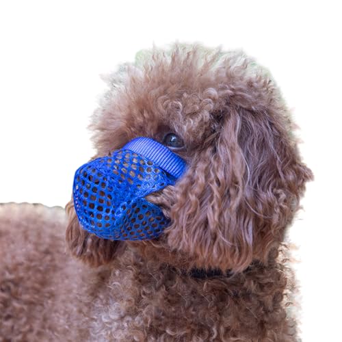 Maulkorb Kleine Hunde,Weicher Netzmaulkorb,Verstellbarer Und Sicherer Mundschutz FüR Hunde,Hunde KöNnen Hecheln,Komfortabel Und Weich Tragen,Resistent Gegen Abrieb,Verhindert BeißEn,Bellen Maulkorb Kleine Hunde,Weicher Netzmaulkorb,Verstellbarer Und Sicherer Mundschutz FüR Hunde,Hunde KöNnen Hecheln,Komfortabel Und Weich Tragen,Resistent Gegen Abrieb,Verhindert BeißEn,Bellen von ForceRoute