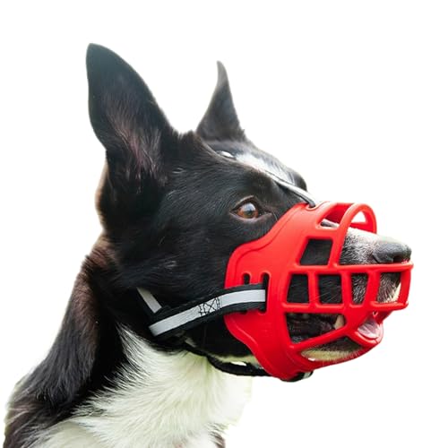 Maulkorb Mittlere Hunde,Weich Maulkorb Kleine Hunde,Mit Verstellbaren Riemen,Gepolsterter Nasenriemen,Hunde KöNnen Hecheln Und Wasser Trinken,Um Schlechten Gewohnheiten Wirksam Vorzubeugen Maulkorb Mittlere Hunde,Weich Maulkorb Kleine Hunde,Mit Verstellbaren Riemen,Gepolsterter Nasenriemen,Hunde KöNnen Hecheln Und Wasser Trinken,Um Schlechten Gewohnheiten Wirksam Vorzubeugen von ForceRoute