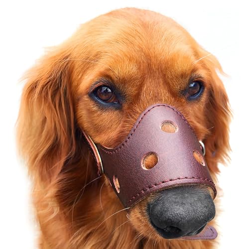 maulkorb mittlere Hunde,Atmungsaktiv und langlebige maulkörbe für Hunde,mit verstellbaren Riemen,Hunde können hecheln und Wasser Trinken,um schlechten Gewohnheiten wirksam vorzubeugen von ForceRoute