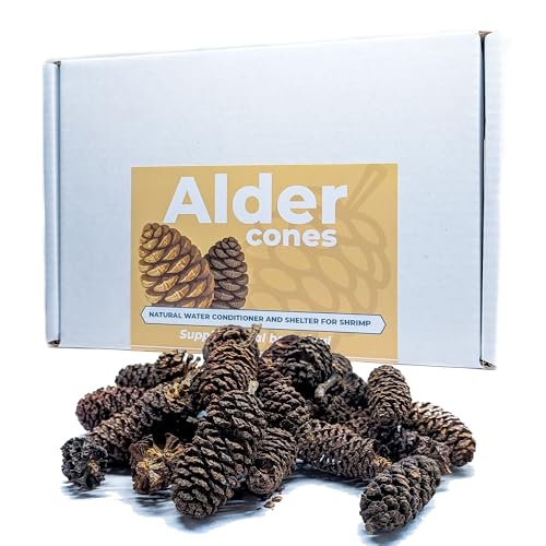 Erlenzapfen für Garnelen, Schnecken & Aquarien - Natürliche Schwarzwassergerbstoffe für Garnelen, Schnecken & Fische (30g) von Forest Aquatics