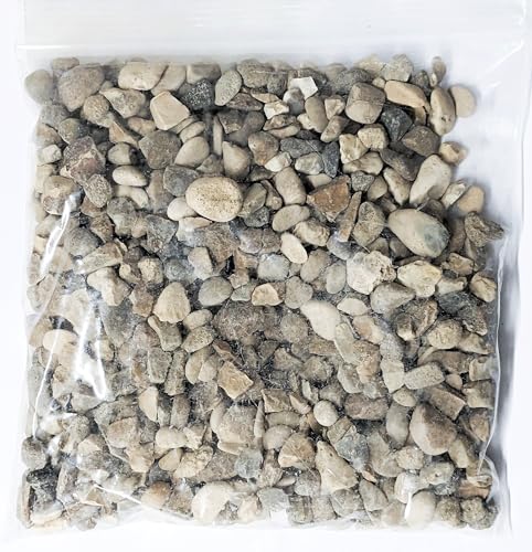 Forest Aquatics Luftbetriebener Schwammfilter für Aquarium-Garnelen und Aquariumhalter (Kies für Schwammfilter) von Forest Aquatics