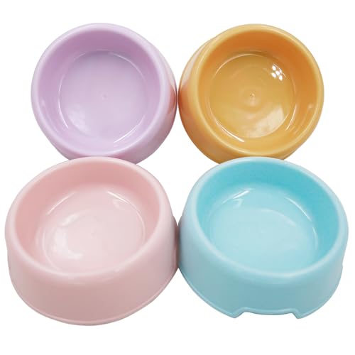 Hundenäpfe Katzennäpfe (Pink + Blau + Lila + Orange, klein) von Forest Guys