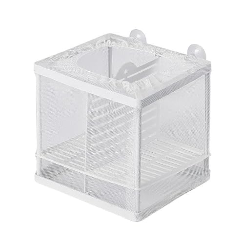 Fish Tank Breeder Net, Aquarium Zuchtbox mit feinem Netz und Saugnäpfen, Isolationsbox für Fisch Fry, Garnelen, Betta, Brutkasten Trennwand für Zucht und Schutz, schwimmende Kindergartenbox von ForestM