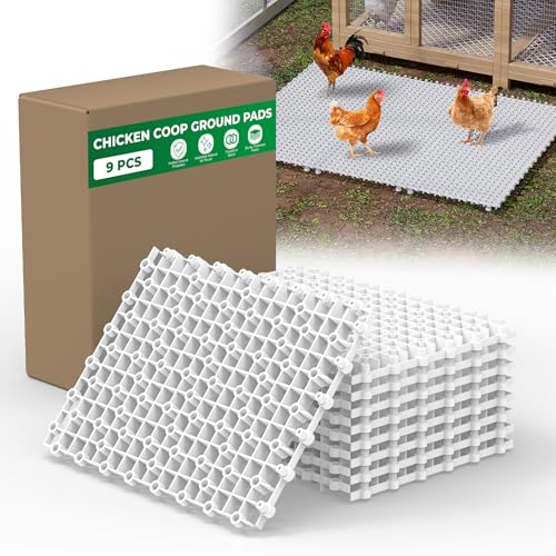 Forestchill Hühnerstall-Bodenpolster, 9 Stück, Kunststoff-Bodenpolster für Hühnerstall, wiederverwendbare ineinandergreifende Gehmatten, Hühnerstall-Zubehör, um den Stall trocken und sauber zu halten, Forestchill Hühnerstall-Bodenpolster, 9 Stück, Kunststoff-Bodenpolster für Hühnerstall, wiederverwendbare ineinandergreifende Gehmatten, Hühnerstall-Zubehör, um den Stall trocken und sauber zu halten, von Forestchill