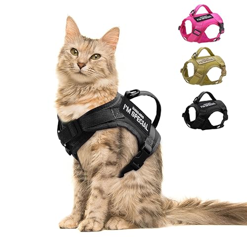 Forestpaw Katzengeschirr ausbruchsicher zum Gehen, verstellbares Katzengeschirr mit weichem Netz-Polsterung, taktisches Katzengeschirr mit Kontrollgriff, Molle-Patches, Schwarz Forestpaw Katzengeschirr ausbruchsicher zum Gehen, verstellbares Katzengeschirr mit weichem Netz-Polsterung, taktisches Katzengeschirr mit Kontrollgriff, Molle-Patches, Schwarz von Forestpaw
