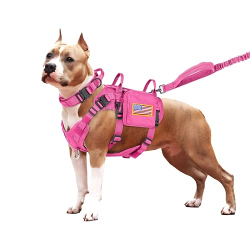 Forestpaw Taktisches Hundegeschirr, einfache Kontrolle, Trainings-Hundehalsband mit Bungee-Hundeleine, kein Ziehen, Militär-Hundegeschirr mit Rucksack für kleine, mittelgroße Hunde (Brustumfang von Forestpaw